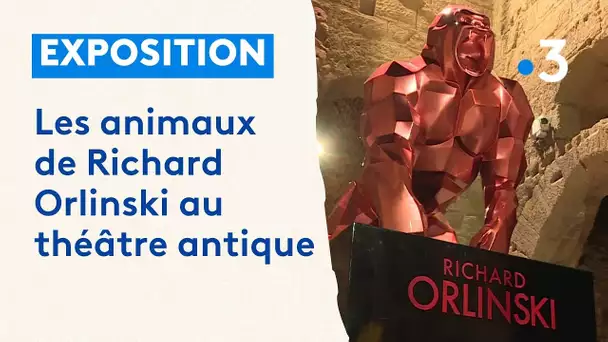 Exposition : les animaux d'Orlinski au théâtre antique d'Orange