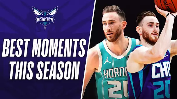 Gordon Hayward's BEST MOMENTS From The Season So Far!