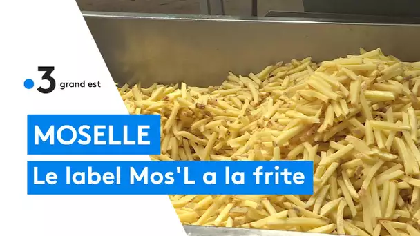 Des frites fraîches label MOSL, un gage de qualité