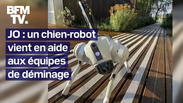 Ce surprenant chien-robot va épauler les équipes de déminage durant les JO