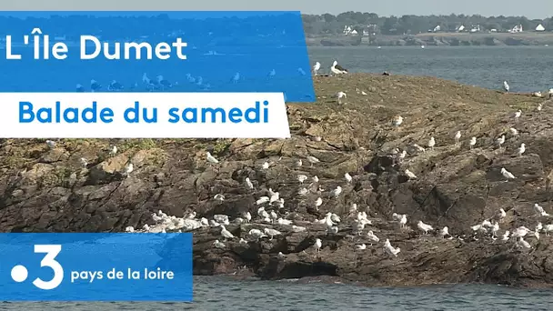Loire-Atlantique : balade du samedi sur l'Ile Dumet