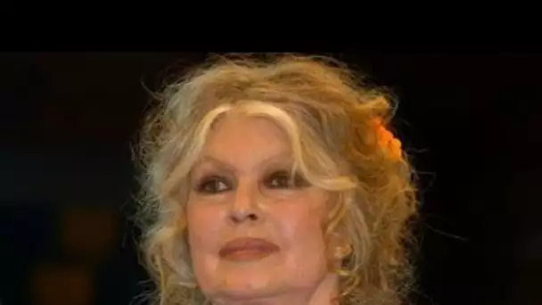 Brigitte Bardot : ce terrible souvenir d'enfance qu'elle peine à oublier