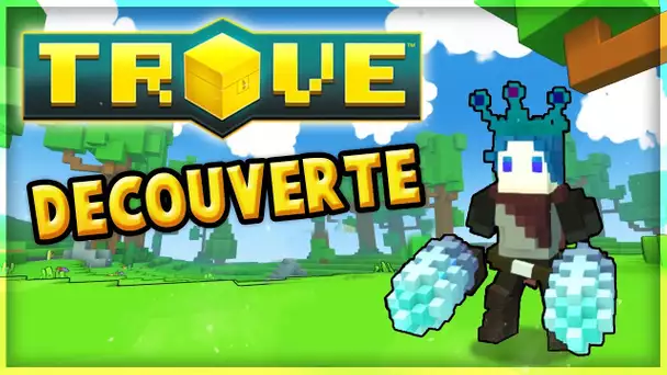 DES CUBES ET DES DONJONS ! | Trove