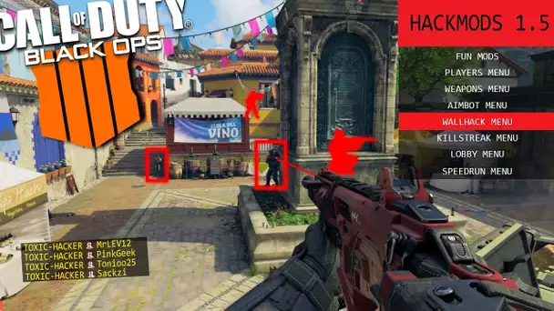 LES HACKS ARRIVENT SUR BLACK OPS 4 ! AIMBOT, WALLHACK ET SPEEDHACK ...