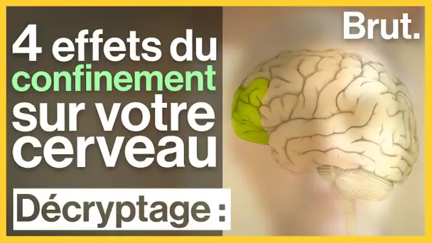 4 effets du confinement sur votre cerveau