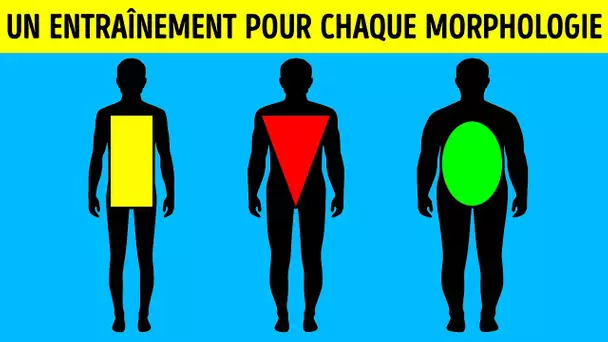 Le Meilleur Exercice Physique Pour Ta Morphologie