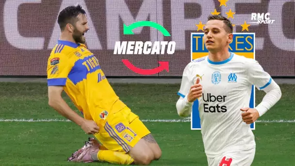 OM : Thauvin vers les Tigres avec Gignac ? Un choix risqué craint Di Meco