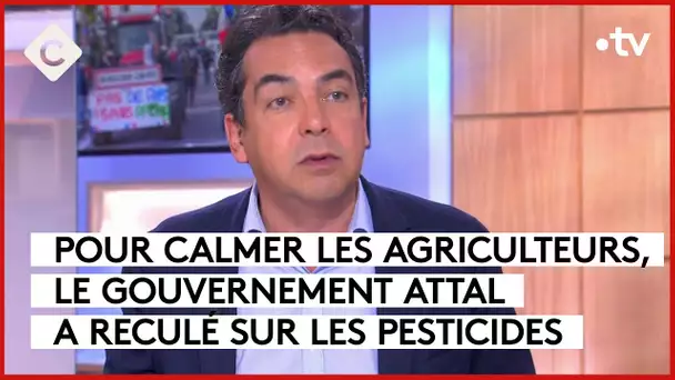 Agriculteurs : Attal cède sur les pesticides - L’Édito - C à vous - 01/02/2024