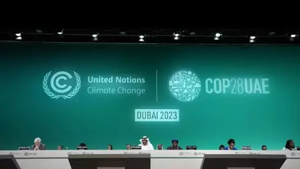 COP 28 à Dubaï : le fonds pertes et dommages adopté