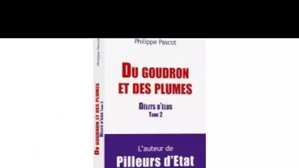 Philippe Pascot sur la Loi de moralisation: «les élus peuvent toujours autant truander»