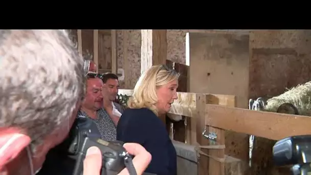 Mutilations de chevaux : Marine Le Pen en visite dans un refuge de l’Yonne