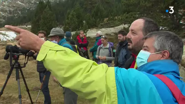 Pyrénées : les travaux du refuge Wallon-Mercadau avancent