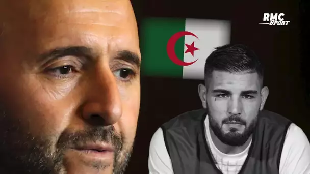 Algérie : "Comment donner tort à Belmadi ?", Riolo appuie ses propos sur Delort