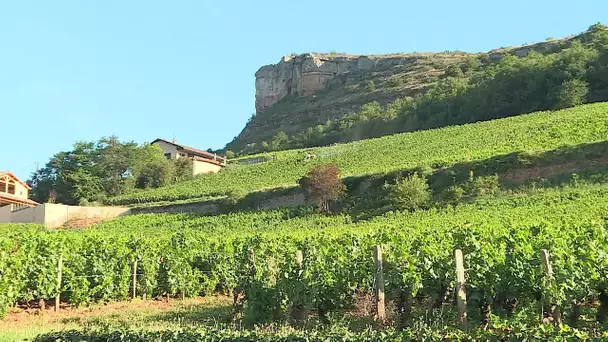 Saône-et-Loire : escapade sur la roche de Vergisson