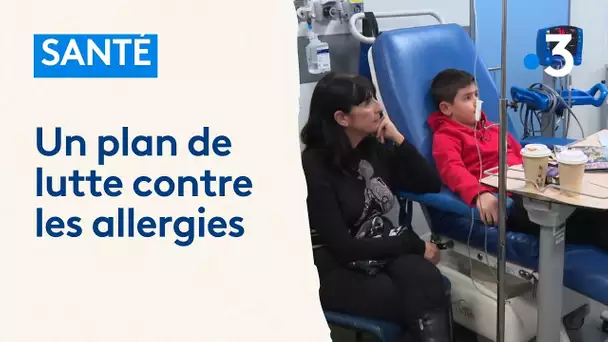 Santé : un plan de lutte contre les allergies