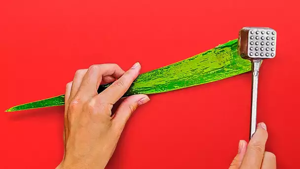 41 ASTUCES ET CONSEILS AVEC DE L'ALOE VERA QUE TA PEAU APPRÉCIERA