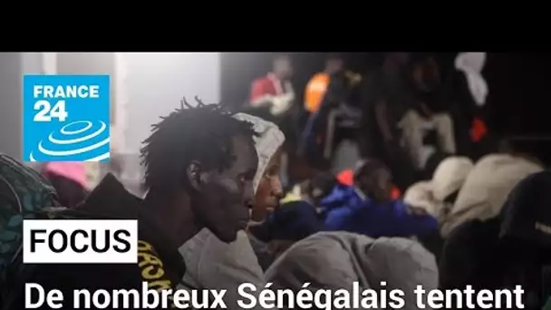 Crise migratoire : de nombreux Sénégalais tentent de rejoindre les îles Canaries • FRANCE 24