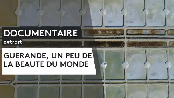 DOCUMENTAIRE. "Guérande, un peu de la beauté du monde" [Extrait]