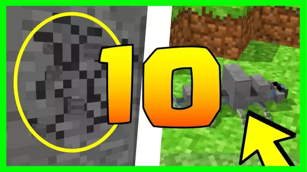 LE SAVIEZ VOUS ? 10 SECRETS SUR LE SILVERFISH MINECRAFT