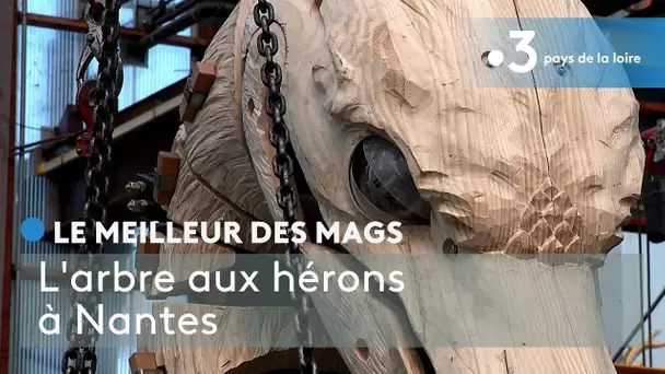 Le meilleur des Mags : L'arbre aux hérons à Nantes