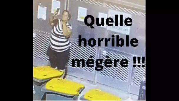 La femme abandonne un chien devant un refuge -après quoi elle prend un selfie en faisant un doigt ..