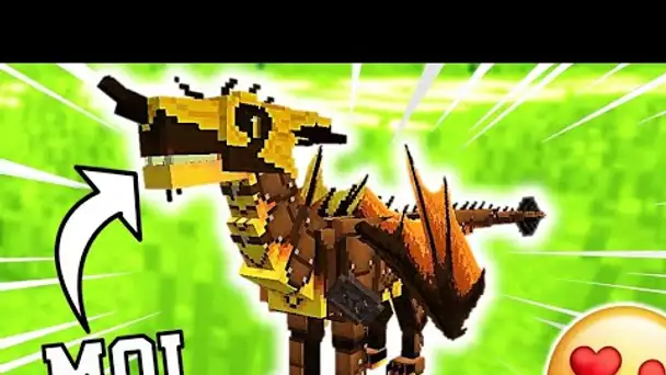 Minecraft mais je suis un DRAGON ... (incroyable)