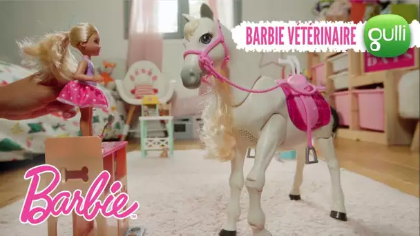 Dans la peau d&#039;une vétérinaire, câlins et soins - Barbie raconte les métiers #1, ta websérie Gulli !