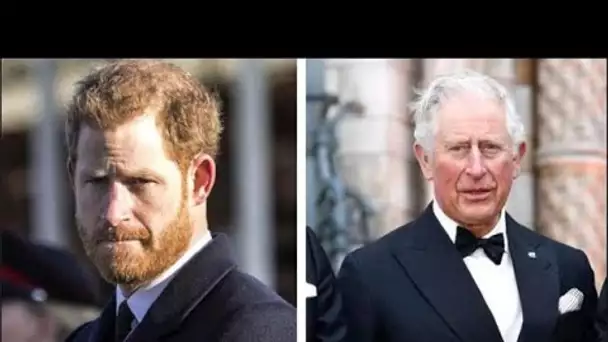 Le prince Harry et Meghan Markle « abandonnent la marque pauvre pour que l'argent ne se tarisse pas