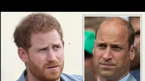 Le prince Harry « immature » qualifié de « terriblement jaloux » du prince William dans une rangée