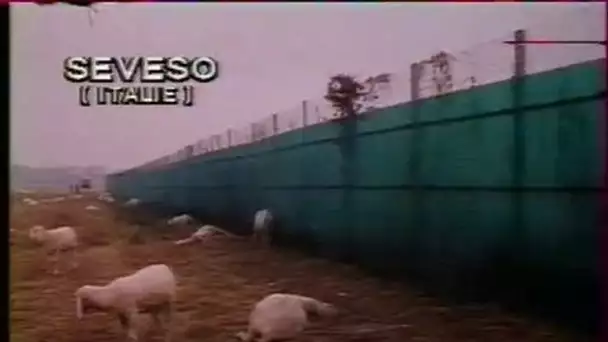 Moutons Seveso