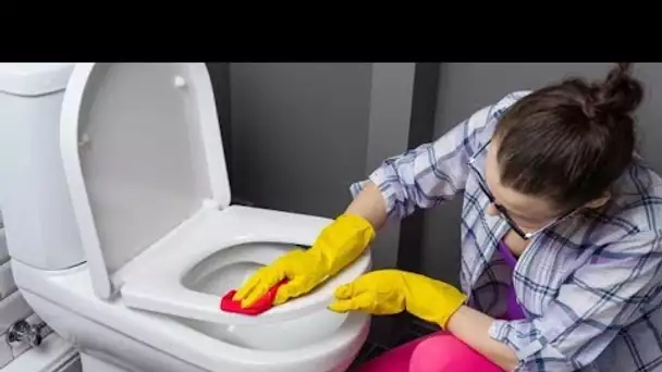 Nettoyage des toilettes: 3 erreurs à éviter impérativement que nous faisons tous, respectez ces co