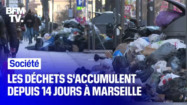 Pourquoi les poubelles s'accumulent dans certains quartiers de Marseille depuis 14 jours