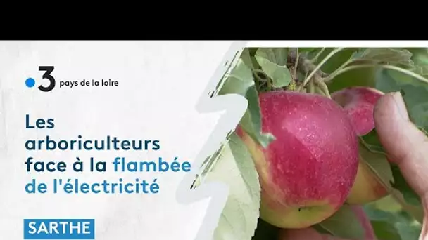 Les arboriculteurs étranglés par la hausse des coûts de l’électricité