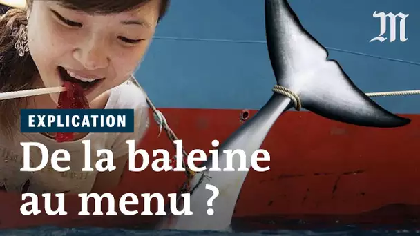 Pourquoi les Japonais pêchent encore des baleines