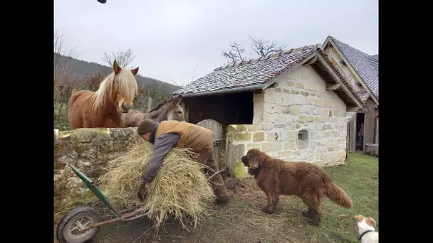 Eco-agriculture:  en Normandie,la ferme du Bec-Hellouin et la maison des semences paysannes Triticum