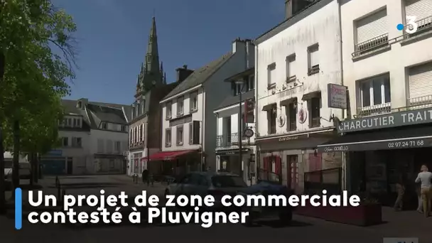 Un projet de zone commerciale contesté à Pluvigner