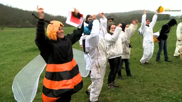 Apiculture : élan de solidarité pour les abeilles ariégeoises