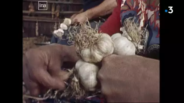 La foire d'Arleux de 1974