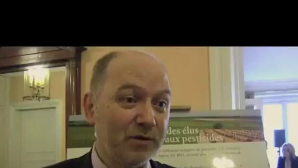 Denis Baupin invité au ministère, Cécile Duflot harcelée sur le net