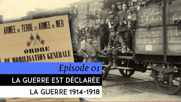 Encyclopédie de la Grande Guerre 1914-1918 - La guerre est déclarée