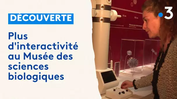 Plus d'interactivité pour les visiteurs du Musée des sciences biologiques