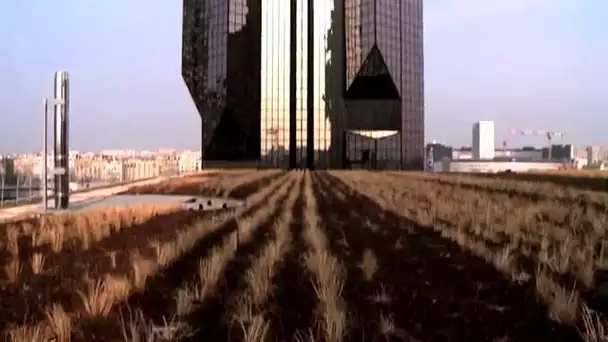 Le centre commercial Beaugrenelle accueille la plus grande toiture végétalisée de Paris