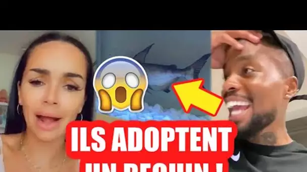 JAZZ ET LAURENT ADOPTENT UN REQUIN DANS LEUR VILLA !! 😱 ÉNORME POL$MIQUE !! (JLC FAMILY)