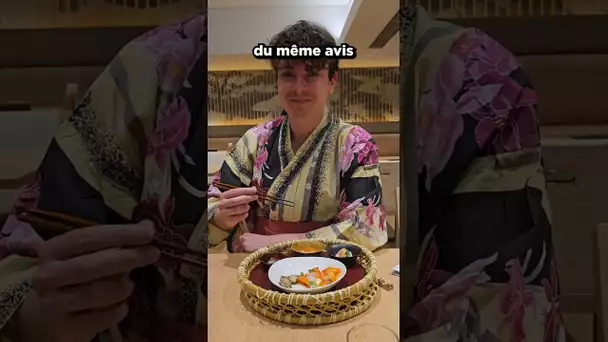 Les Ryokan, hôtels japonais♨️