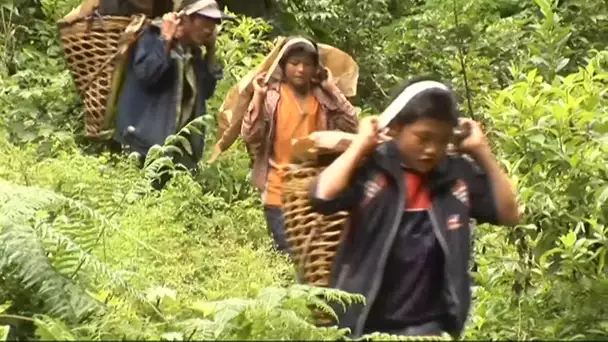 Les enfants bûcherons des montagnes chinoises