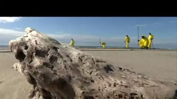 Nettoyage de la plage de Piemanson