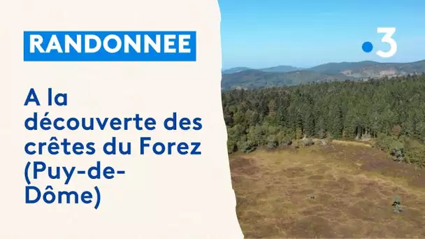 Randonnée : à la découverte des crêtes du Forez (Puy-de-Dôme)