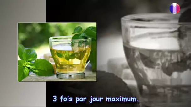 La menthe une plante aromatique magique