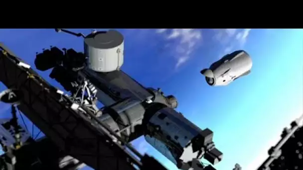 La NASA donne son feu vert pour le premier vol habité de SpaceX, décollage mercredi