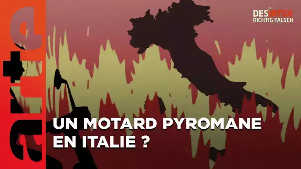 Les incendies en Italie dus à un pyromane en scooter ? - Désintox - ARTE